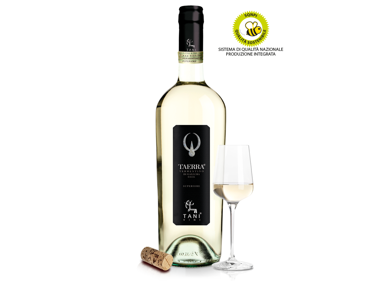 SHOP-01a-TANI-VINI-MAGNUM-TAERRA-VERMENTINO-GALLURA-DOC-SUPERIORE-SARDEGNA-MONTI-ITALIA-1